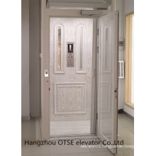 Good price for home small elevators with elevator cabin
